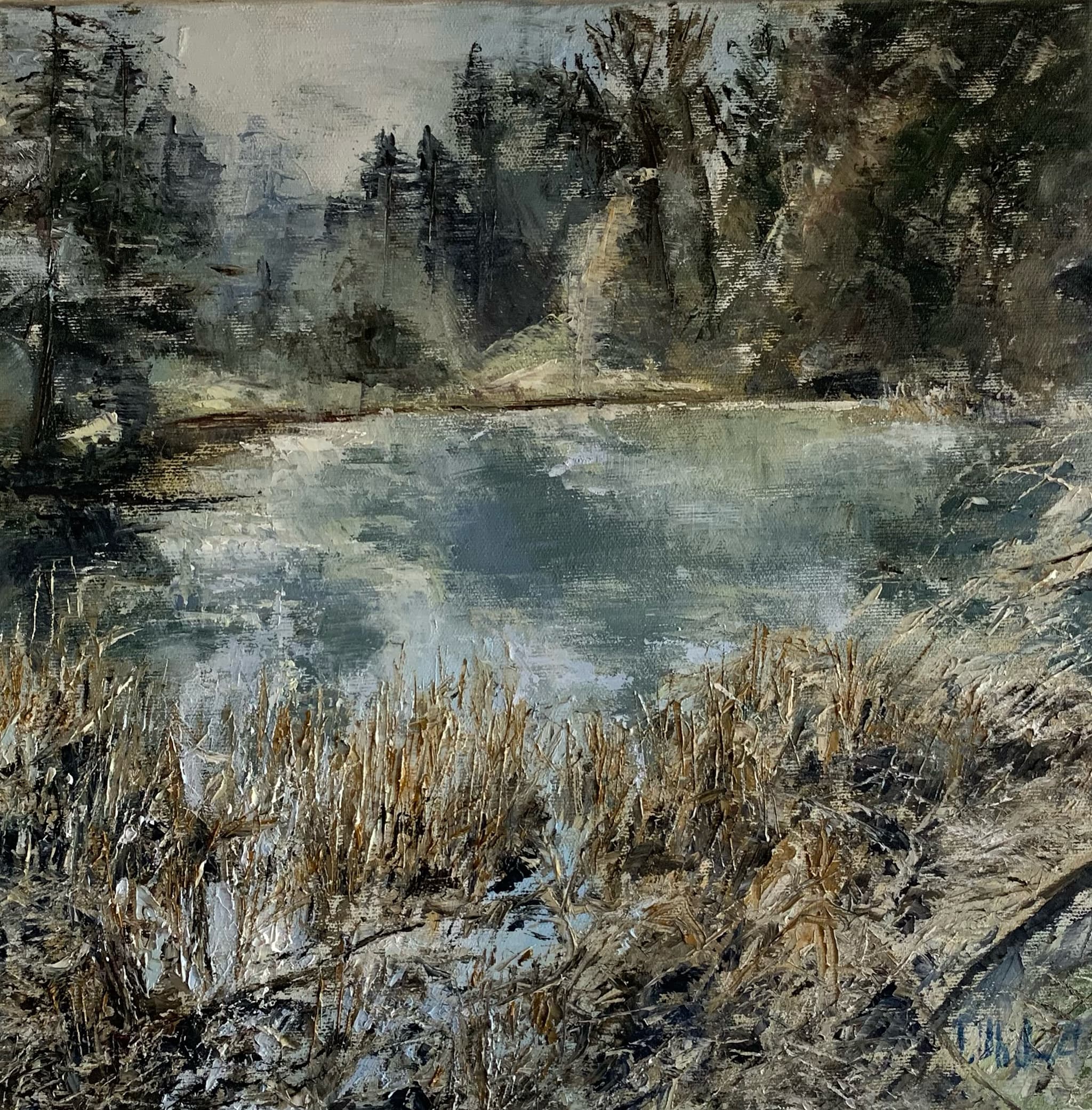 Bisliker Weiher 1