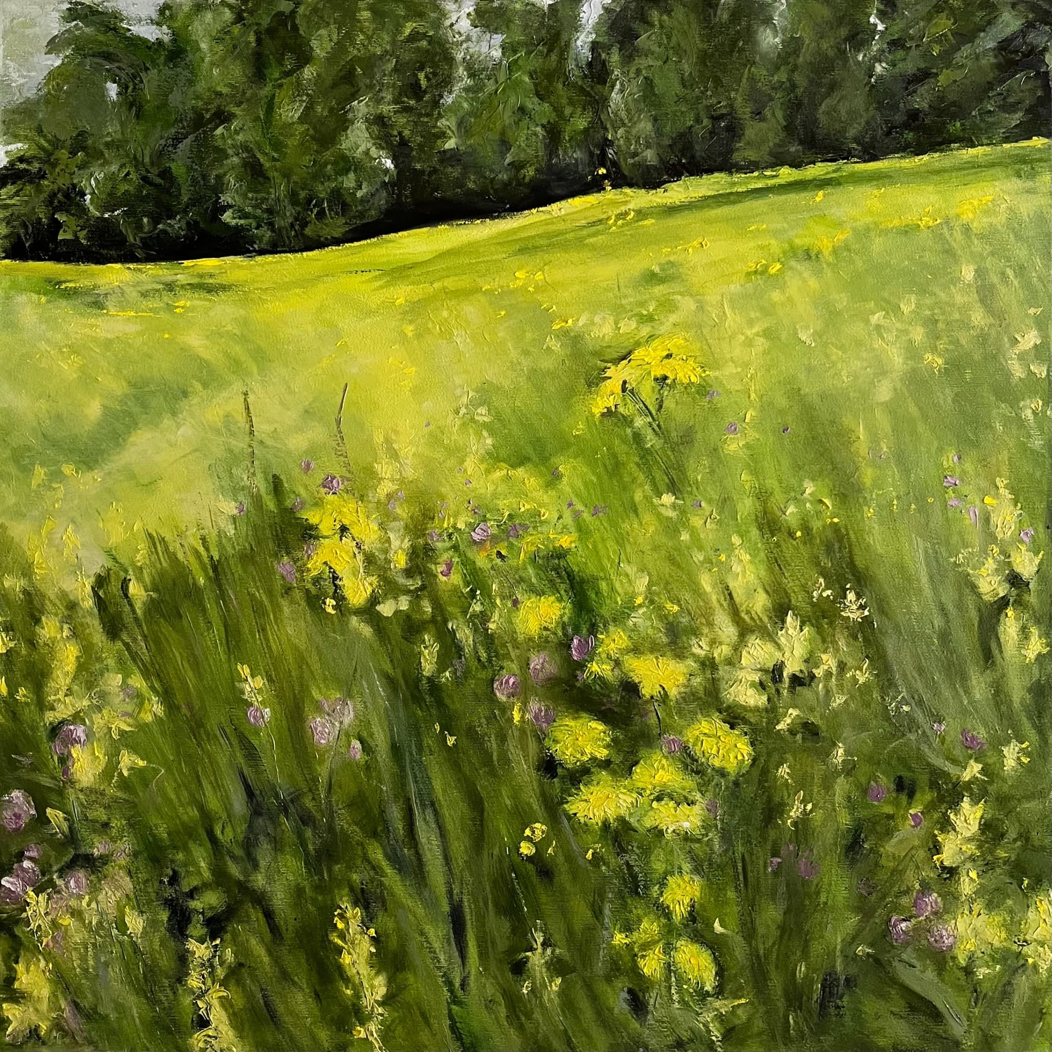 Sommerwiese